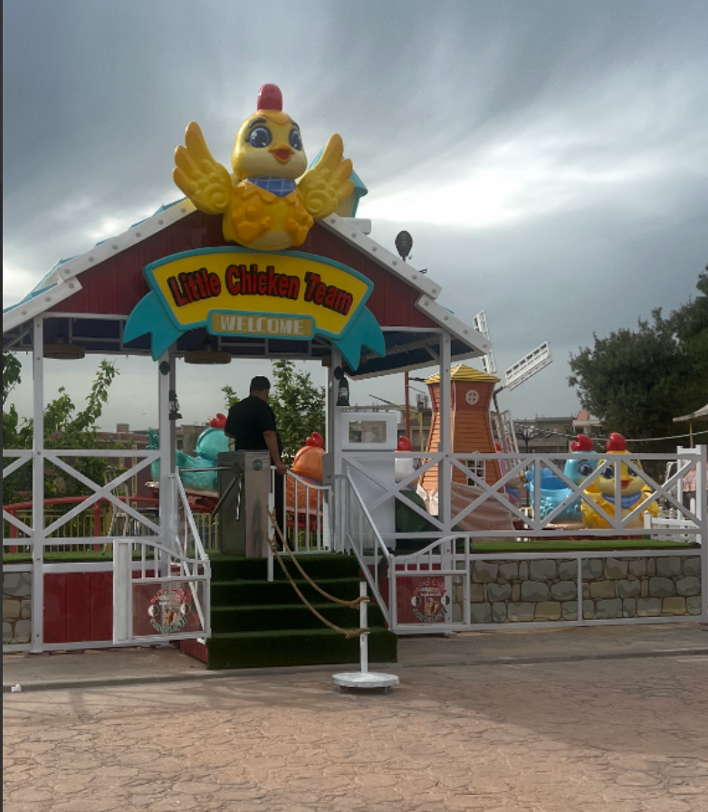 Little Chicken Team